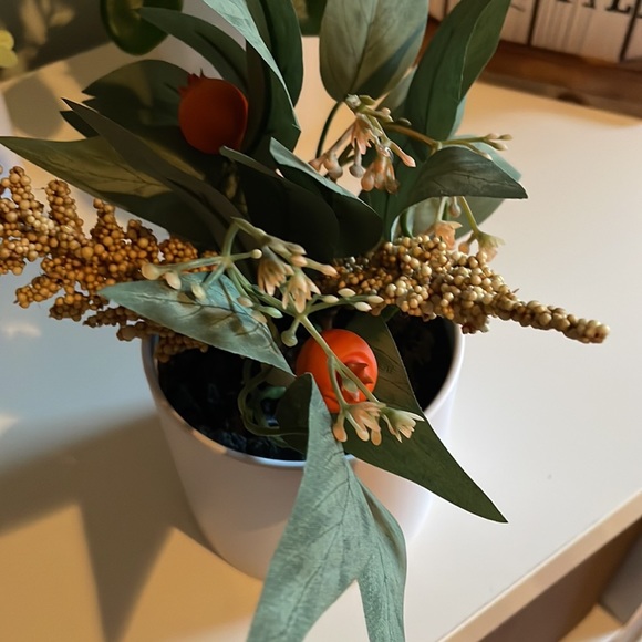 Faux potted plants, 4” tall - Picture 11 of 11